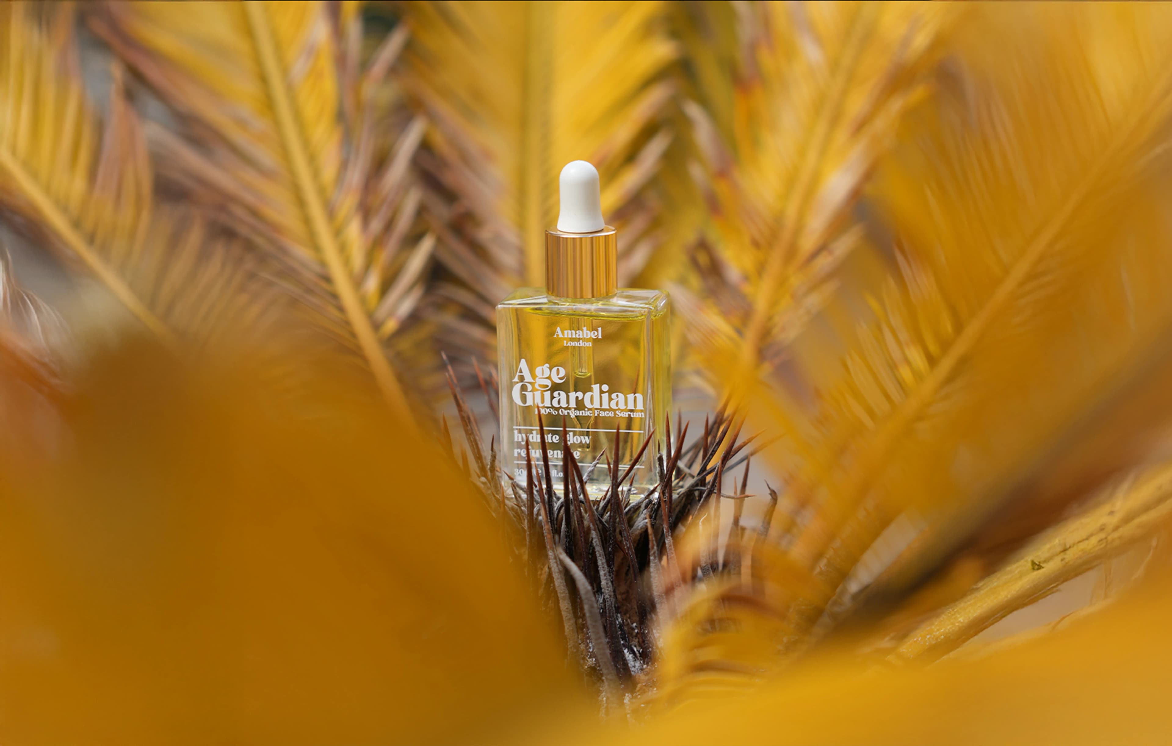 2026: СЛЕДВАЩАТА ГЛАВА